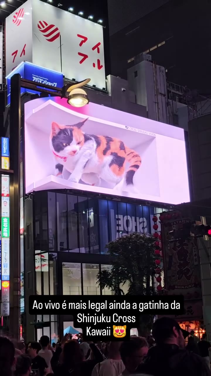 A gente atravessa o mundo pra ver um gato no telão? Também!! Shinjuku à noite é vibrante mas o gato