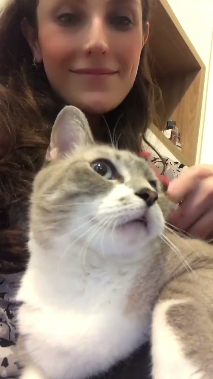 # cats